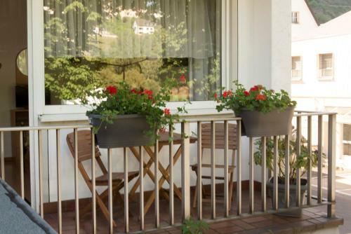 Hostal Pension Dapper