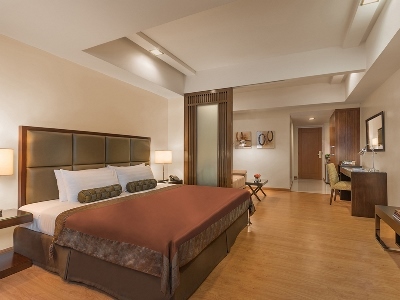 Hotel Somerset Millennium-1 Habitaci�n de Lujo