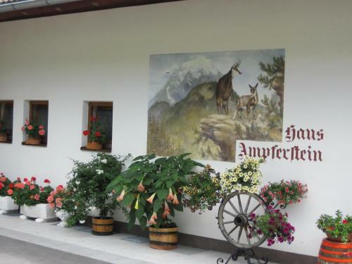 Apartamento Haus Ampferstein