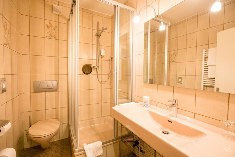 Hostal Hotel-gasthof Goldener Greifen