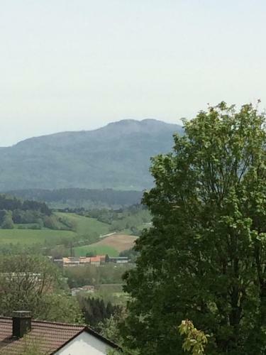 Hostal Pension Caf� Papke