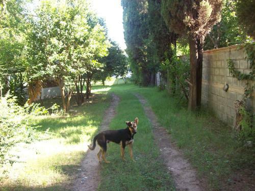 Lodge Caba�as Sem