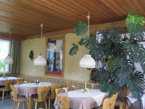 Hostal Bei Weirich