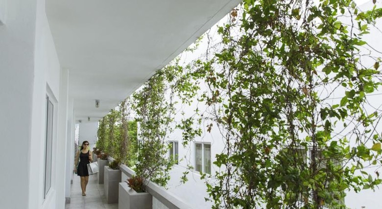Albergue Hi-miami Beach