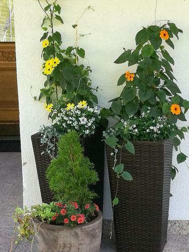 Hostal G�stepension Wiesenheim