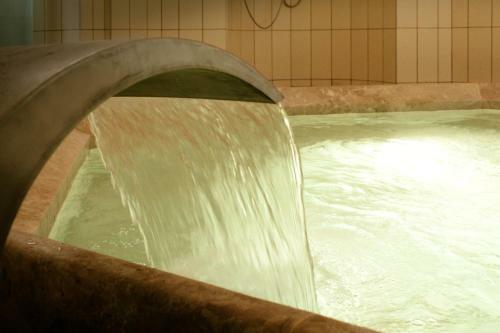 ?sa Begov Hamam Hotel