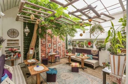 Hostal Eshe Boutique Hotel