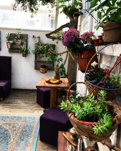 Hostal Eshe Boutique Hotel