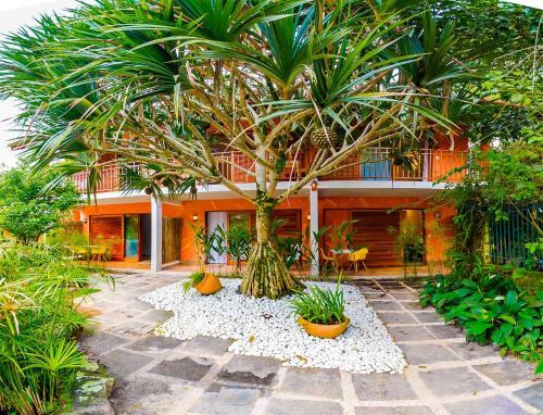 Hostal Pousada Jamboo