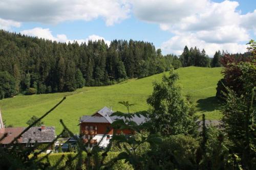 Hostal Hotel-pension Thom�