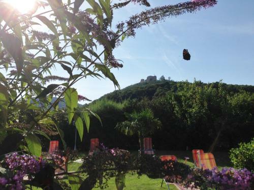 Hostal G�stehaus-weingut Helbighof
