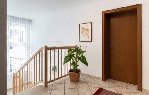 Hostal G�stehaus Frischhut