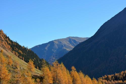 Apartamento Haus Sonnenalm
