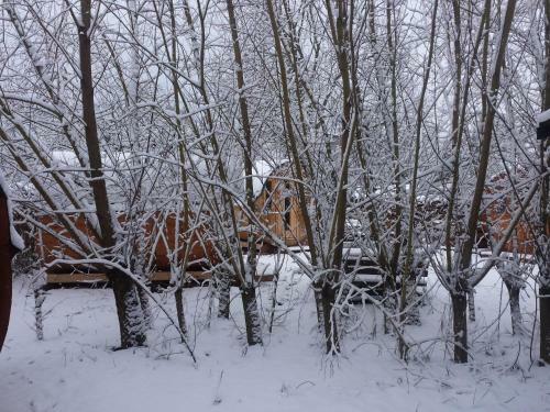 Mini Hotel �bernachten Im Gurkenfass
