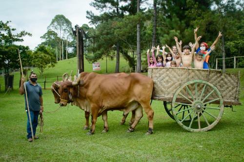 Agroturismo Hotel Fazenda Chiminelli