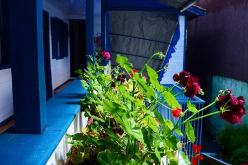 Hostal Pousada Tia Leonor