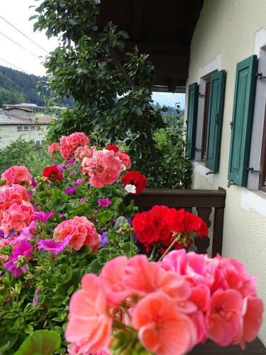 Hostal Pension Rainhof