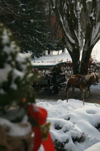 Hostal Pension Wolfgangsee