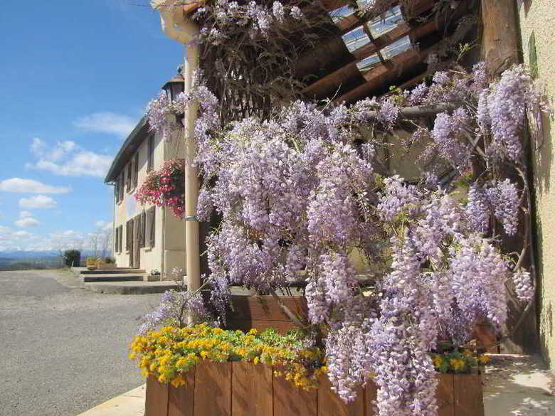 Hotel Auberge Du Balesti�