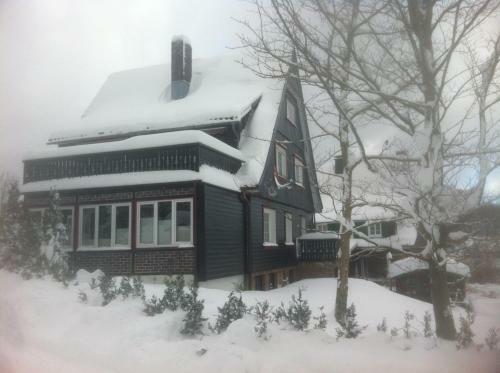 Ferienhaus Wichtelhus