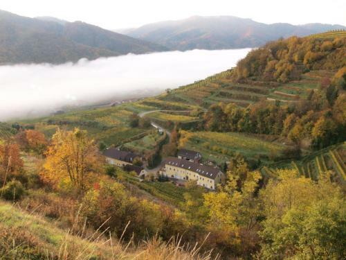 Weinbau Weidenauer