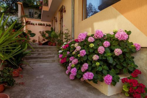Hotel Orchidea