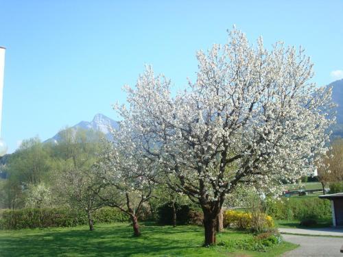 Apartamento G�stehaus Franz Stissen