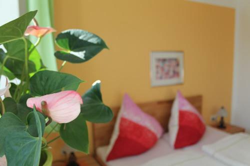 Hostal Pension Pastoriushaus