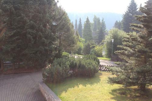 Apartamento Ferienwohnung Braunlage