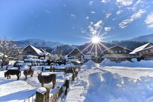 Hostal Hotel Beim Winkler