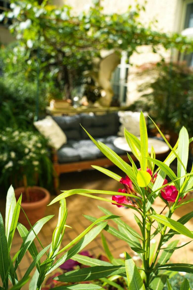 Honigmond Boutique Hotel