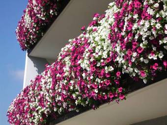 Bed & Breakfast Fr�hst�ckspension Mokina