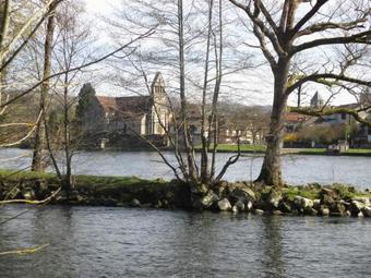 Bed & Breakfast Le Petit Chat