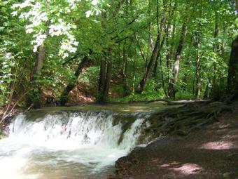 Hostal Ak�cvir�g Vend�gh�z �s Apartman