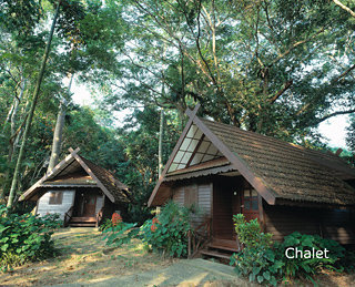 Hotel Mutiara Taman Negara