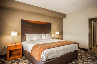 Hotel Comfort Suites At Harbison