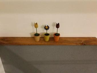 Ver fotos