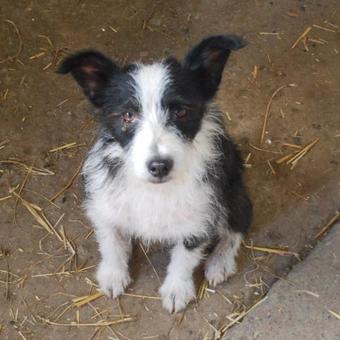 Agroturismo Bed & Breakfast Cascina Cin Cin