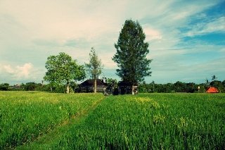 Villa Plataran Bali