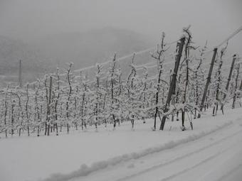 Agroturismo Brugger Hof