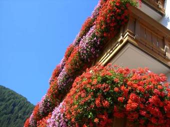 Hotel Alpenrose