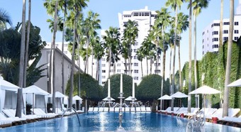 Hotel Delano South Beach