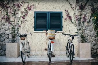 B&B Magnolia