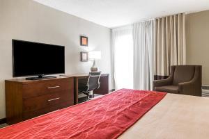 Hotel Comfort Inn-buckhead North