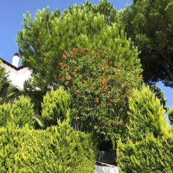 Apartamento Xanthippi