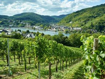 Ringhotel B�mers Mosel Landhotel