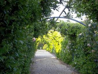 Bed & Breakfast Villa Angel