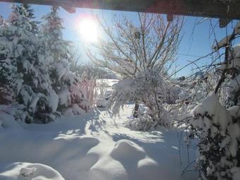 Apartamento Ferienwohnung Sandra Wetzel