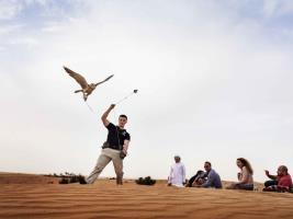 Hotel Ibis Mall Of The Emirates