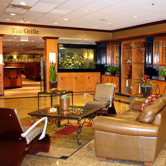 Hotel Holiday Inn Atlanta Capitol Co